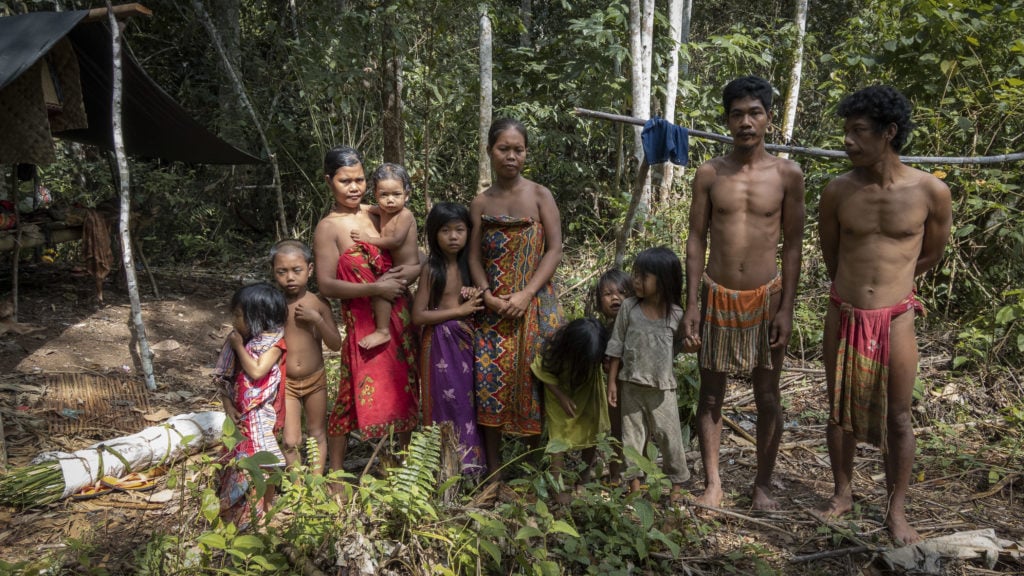 Nomadic Sumatra tribe, Kubu, Orang Rimba