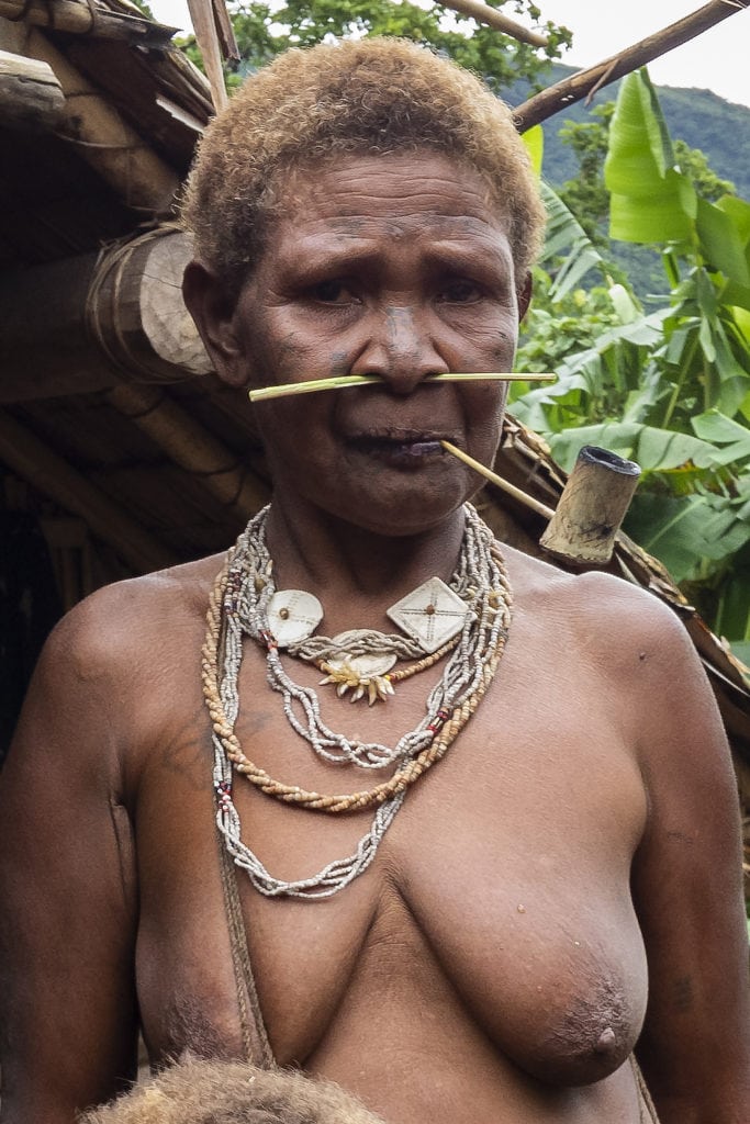 traditioneller Körperschmuck. Kwaio Melanesien. traditionelles Nasenpiercing